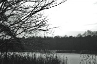 /album/www-pix-fx-de/bild-176-jpg/